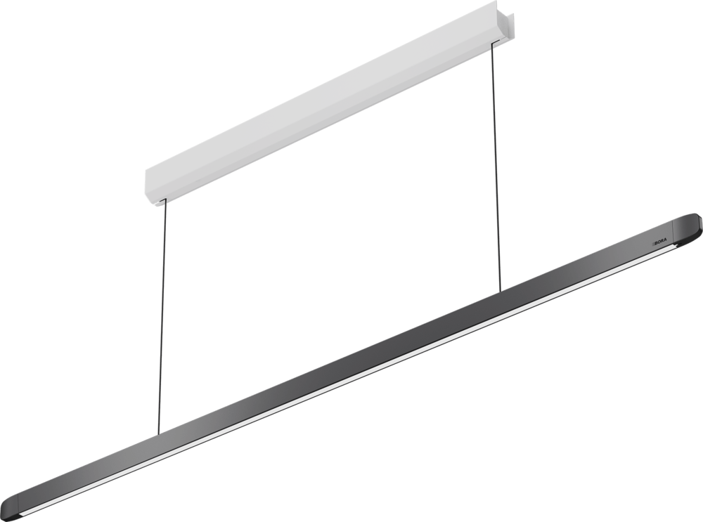 BORA Horizon LHFSW Fixed Pendant Light in Black