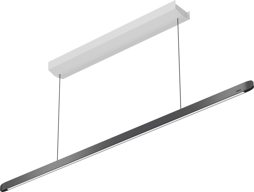 BORA Horizon LHMSW Move Pendant Light in Black