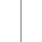 BORA Stars LSESW Flush Pendant Light in Black