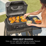 Ninja XSKOGXLFPLTEU Woodfire XL Flat Plate